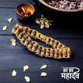 Premium Gold Plated Modern Rudraksha Bracelet {Har Har Mahadev 🔱🔱🔱}