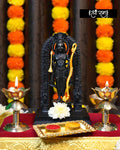 Ayodhya Ram Lalla's murti