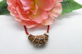 1 One Mukhi Rudraksha - 💯 Certified Authentic ✅