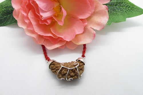 1 One Mukhi Rudraksha - 💯 Certified Authentic ✅
